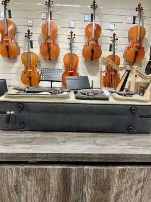 BAM - NASH2001SCA - 'Nashville' Violin Case 2