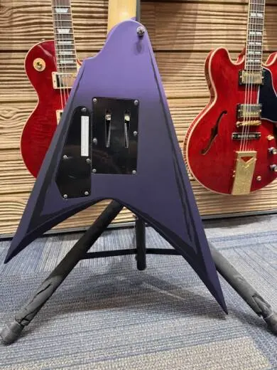 ESP Guitars - LALEXIRIPPED 2