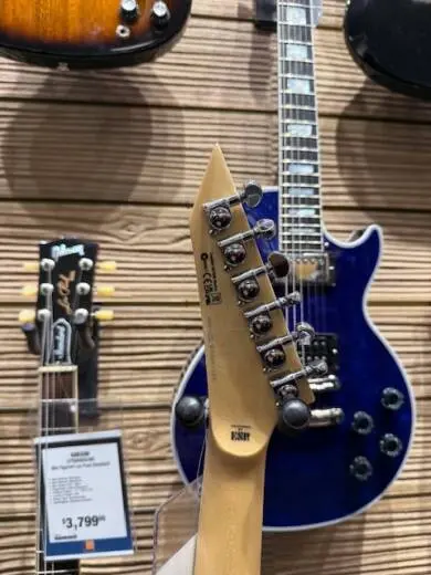 ESP Guitars - LALEXIRIPPED 2