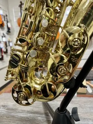 Selmer USA - AS210 - Alto Saxophone 2