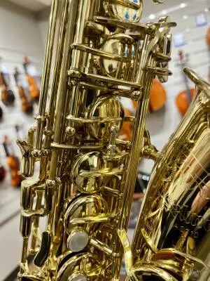 Selmer USA - AS210 - Alto Saxophone 2