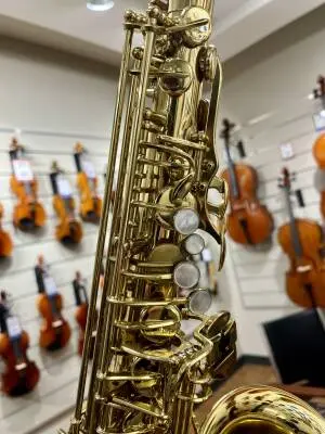 Selmer USA - AS210 - Alto Saxophone 2
