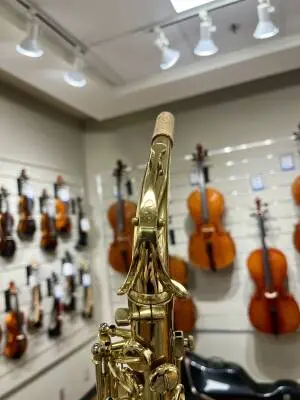 Selmer USA - AS210 - Alto Saxophone 2