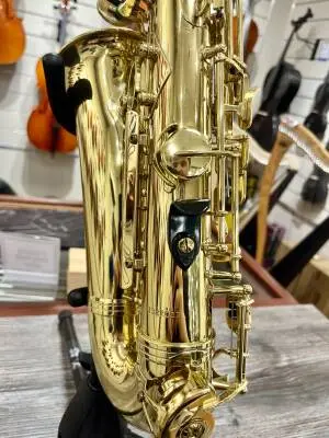 Selmer USA - AS210 - Alto Saxophone 2