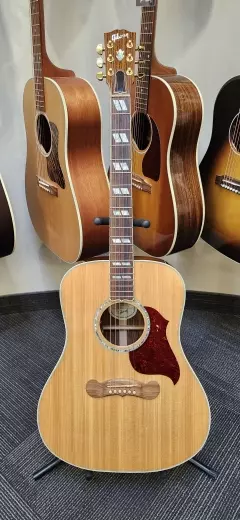 Gibson - ACSD19ANGH