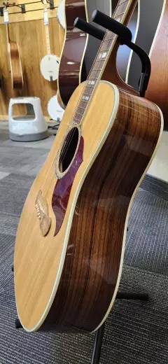 Gibson - ACSD19ANGH 2