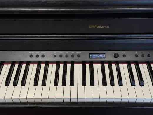Store Special Product - Roland - HP704-CH-WS