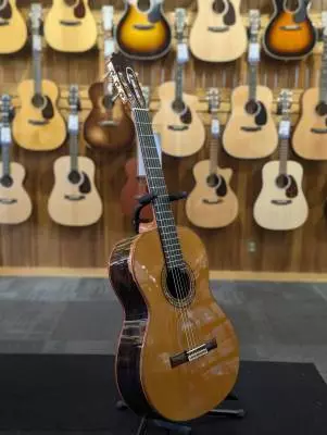 Alhambra Javier Mengual  826 Classical Guitar - Ziricote