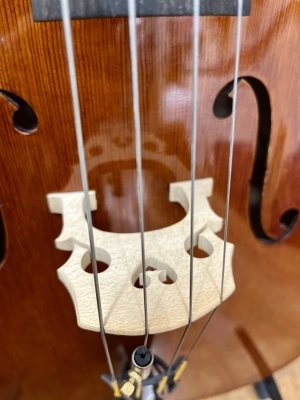 Aubert Lutherie - MICHEL VC 4/4 Cello 6