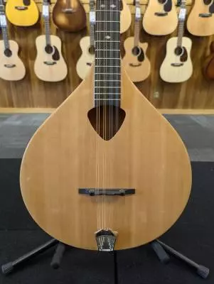 Store Special Product - BZ-500 Irish Bouzouki w/ Case