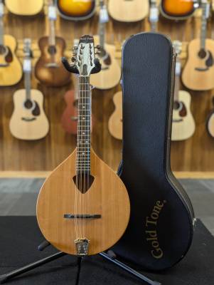 BZ-500 Irish Bouzouki w/ Case