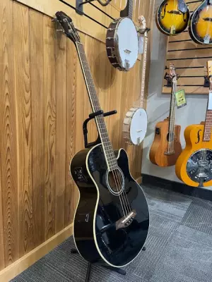 Ibanez - Acoustic Bass Black 2