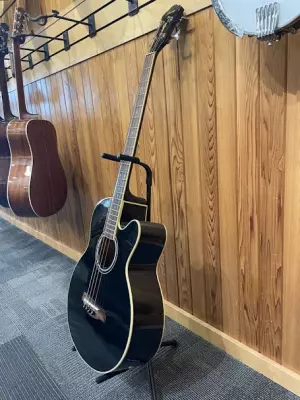 Ibanez - Acoustic Bass Black 2