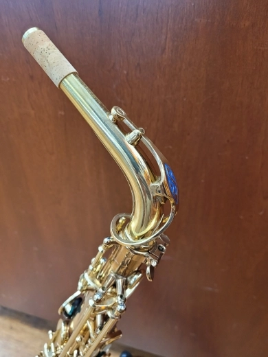 Selmer 52DIR Series II Alto Saxophone 2