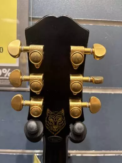 Epiphone - SHEREWBAGGH 2