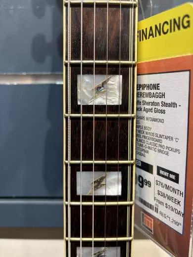 Epiphone - SHEREWBAGGH 2