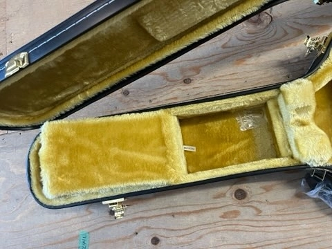 EPIPHONE ES-335 CASE 2