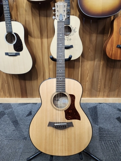 Taylor Guitars - GTE URBAN ASH