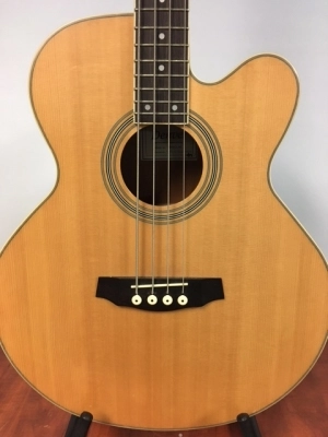 DENVER ACOUSTIC/ELEC BASS