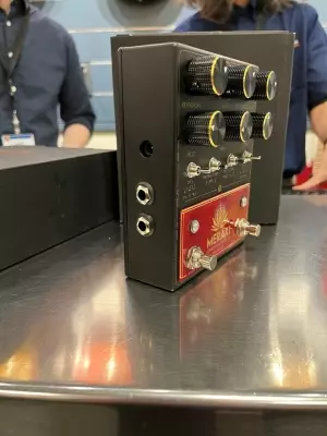 Walrus Meraki Analog Stereo Delay 2