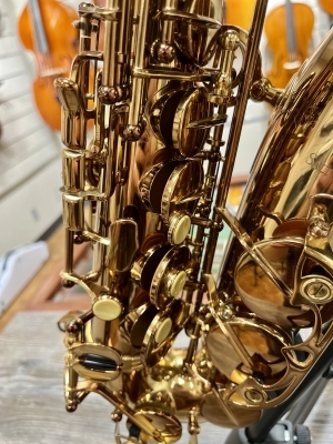 Cannonball 'AVR-L' Vintage Reborn Alto Saxophone 5