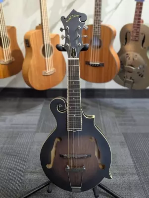 Gold Tone - F-6 6-String F-style Mando-Guitar with Pickup and Case