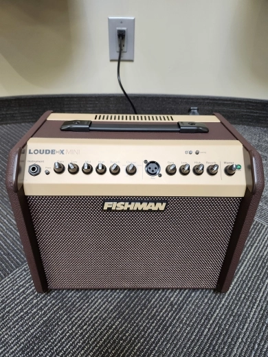 Fishman Loudbox Mini Acoustic Guitar Amplifier(60w)