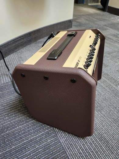 Fishman Loudbox Mini Acoustic Guitar Amplifier(60w) 2