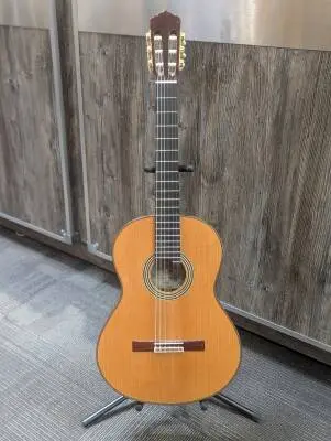 Linea Professional Classical Guitar with Case