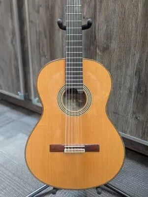 Linea Professional Classical Guitar with Case 2