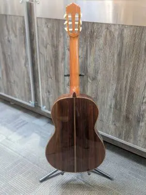 Linea Professional Classical Guitar with Case 2