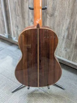 Linea Professional Classical Guitar with Case 2