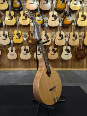 Store Special Product - BZ-500 Irish Bouzouki w/ Case