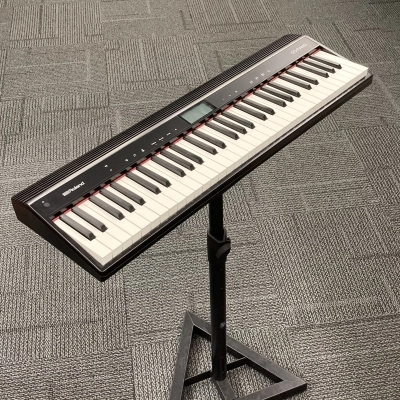 Roland - GO-61P