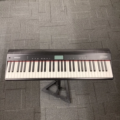 Roland - GO-61P 2