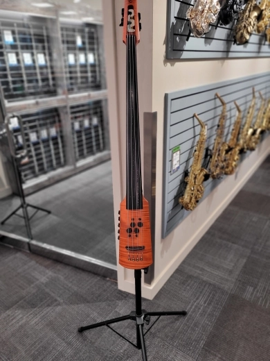 NS Design CR4 Omni Bass Fretless