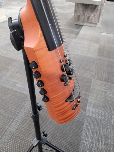 NS Design CR4 Omni Bass Fretless 2