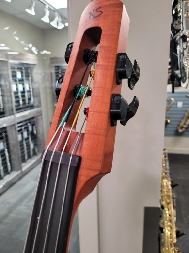 NS Design CR4 Omni Bass Fretless 2
