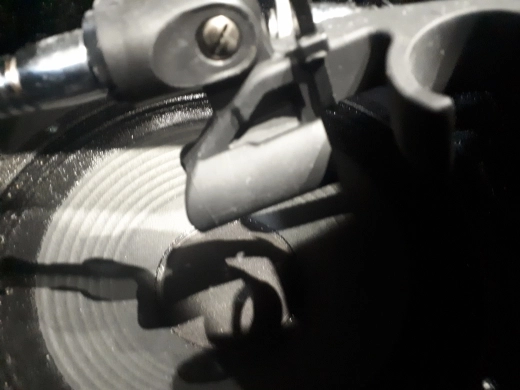 Rivera Silent Sister SS-1 Isolation Cabinet 2