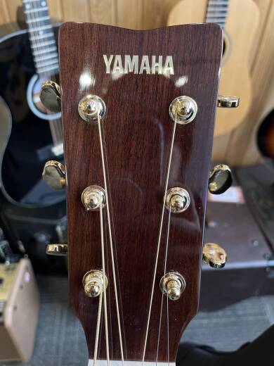 Store Special Product - Yamaha - TAG3C NT