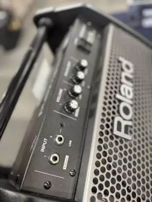 Roland - PM-100 2