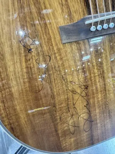 Epiphone - EEHBKOGH 2