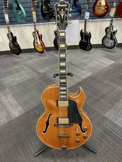 Ibanez Artcore Expressionist Vintage Hollow Body