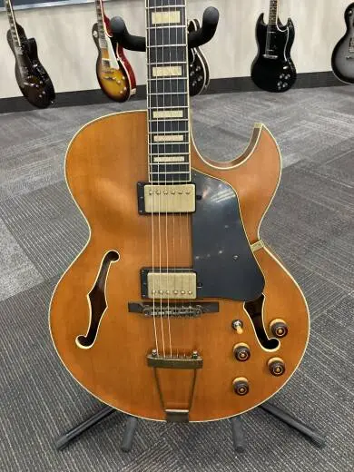 Ibanez Artcore Expressionist Vintage Hollow Body 2