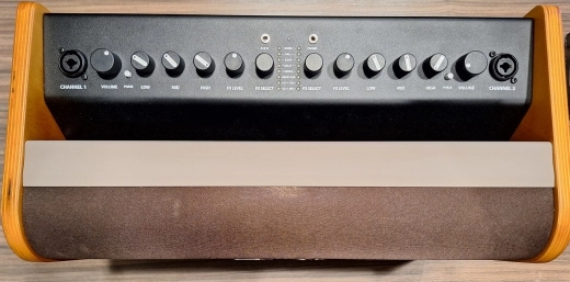Fender - ACOUSTIC 100 2