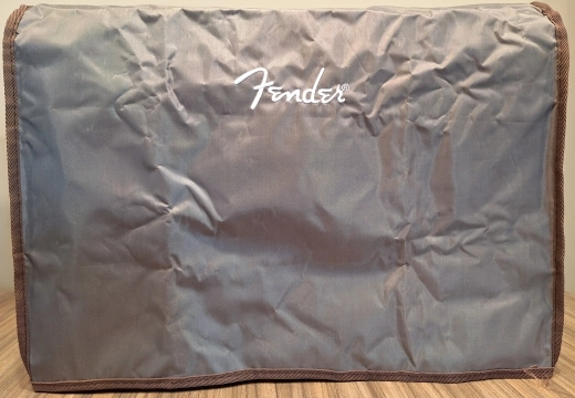 Fender - ACOUSTIC 100 2