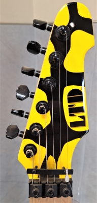 ESP Guitars - LTD/GEORGELYNCH-200 M1 TIGER 3