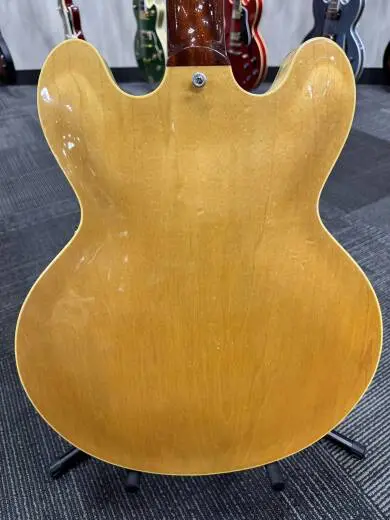 Gibson - ESDP19DNNH 2