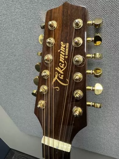 Store Special Product - Takamine - EG345C