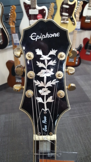 Epiphone - JOE PAS EMPEROR - NATURAL 3